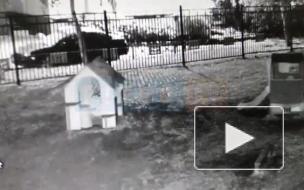 Возвращение домой убившей бабушку школьницы попало на видео