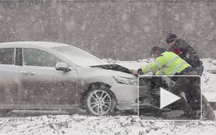 "День жестянщика" в Петербурге набирает обороты