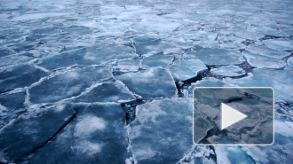 На Васильевском острове провалившихся под лед девочек спасли прохожие