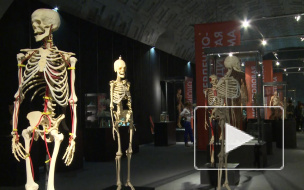 Выставка трупов оскорбила чувства православных верующих