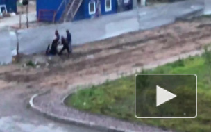 Очевидцы засняли, как трое неизвестных избивают палкой мужчину на улице Маршала Казакова