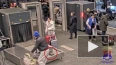 В аэропорту Внуково раскрыли кражу женской сумочки ...