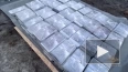 В Петербурге обнаружили более 200 кг кокаина из Латинской ...