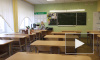 Школа онлайн: как образовательные учреждения Выборгского района перешли на дистанционное обучение