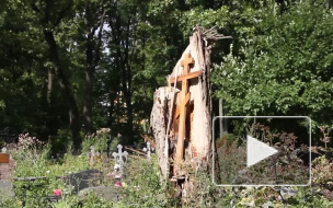 Погибшими детьми в Таиланде оказались брат и сестра из Челябинской области