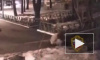 Видео: В Москве пенсионерку жестко избил мужчина с собакой