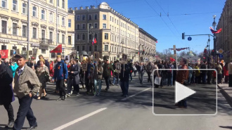 Больше миллиона петербуржцев приняли участие в шествии "Бессмертный полк"