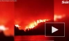 В Греции вспыхнуло почти 600 пожаров за несколько дней 