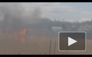 В Саратовской области огонь от горящей травы может перекинуться на село Багаевка