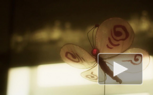 Выпавшего из окна на Гранитной 3-летнего ребенка спасают в больнице имени Раухфуса