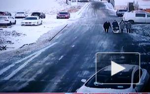 Видео: в Петербурге полиция задержала мужчину, стрелявшего из автомата возле рынка