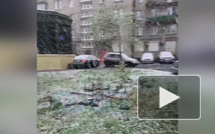 Утром в четверг в Петербурге выпал снег