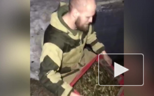Бизнесмен из Балашихи выпустил на свободу 25 кг раков