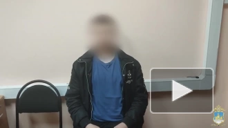 В Костромской области найдены подростки, работавшие на телефонных мошенников
