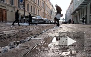 Грязный снег завалил центральные улицы Петербурга