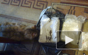 В Петербурге правоохранители изъяли 30 кг амфетамина в квартире на Ленинском