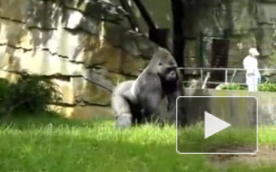 Сделал гадость-сердцу радость)))