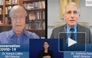 Американский инфекционист объявил о начале глобальной пандемии COVID-19