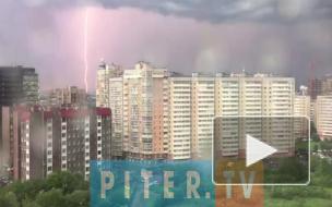 Ураган в Петербурге 18 июня унес жизни двух людей