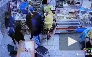 Стало известно, почему жители Петербурга подрались в очереди за шавермой