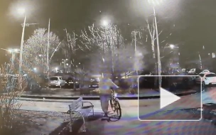 Петербуржец 1,5 года проведет в колонии строгого режима за кражу велосипеда