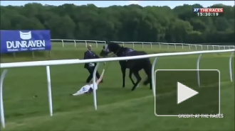 Видео: журналистка смогла остановить коня на скаку отделавшись одним ударом