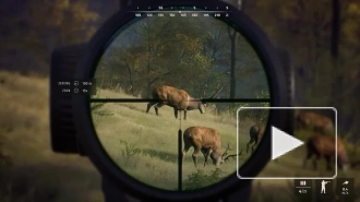 Основы охоты и красивая природа в трейлере игры Way of the Hunter