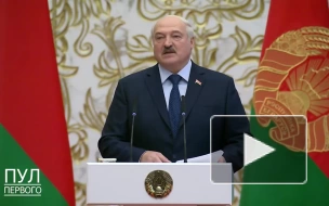 Лукашенко считает, что место McDonald's должен занять белорусский бизнес