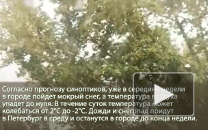 Снег в Петербурге пойдет уже в среду