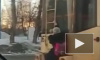 Маленькая зацеперша из Новосибирска попала на видео