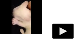 Марша дома!