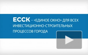 В Петербурге в ЕССК обрабатывают более 7 тысяч заявлений в месяц