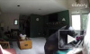 Музыкальное видео из Колорадо: Медведь забрался в дом и поиграл на пианино