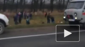Жуткое ДТП на Кубани со школьным автобусом: 13 детей в больнице, водитель скончался