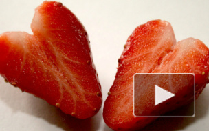 Психологи узнали, чего хотят женщины