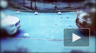 Упавший с 16 этажа юноша скончался в Елизаветинской больнице