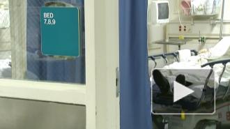 Медведев обеспокоен случаями бубонной чумы у границ РФ