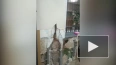 Видео: ветеран войны на Донбассе сломал стену в отделении ...