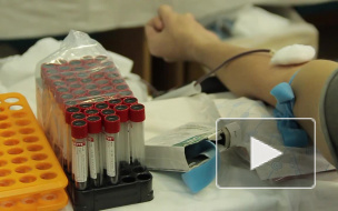 Петербургские звезды пустили кровь ради моды