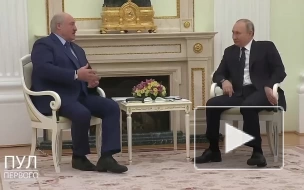 Лукашенко назвал санкции Запада против России и Белоруссии "свинством"