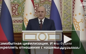 Мишустин: Москва нацелена на запуск совместных предприятий с Душанбе