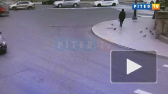 Власти Петербурга помогут семье женщины, погибшей в ДТП в центре города