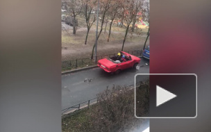 "Лето, оно в душе": в Петербурге заметили парней на кабриолете
