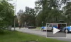 Резвые мопеды