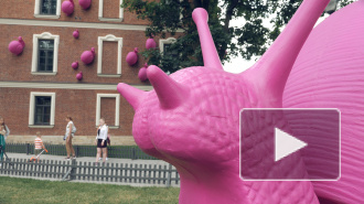 Видео: гигантские розовые улитки атаковали Новую Голландию