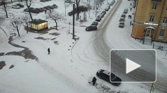 В Петербурге "желтый" уровень опасности из-за снегопада