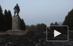 Ядовитые отходы мешают запретному сексу на Крестовском острове