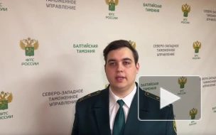Петербургские таможенники нашли 11 кг кокаина в партии бананов из Бельгии