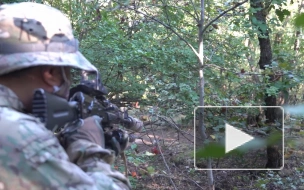 Опубликовано видео с ликвидированными в Дагестане боевиками