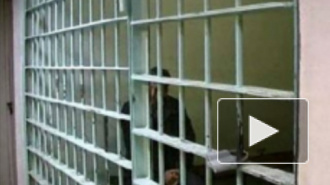 Правоохранительные органы задержали гражданина Египта по подозрению в изнасиловании петербурженки